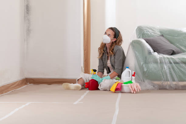 Reliable Mold Inspection contractor in Pendleton, NC by WQB Mold Removal