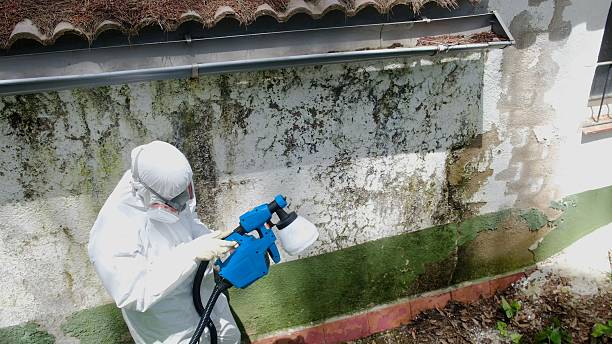 Top rated local Mold Inspection specialists in Pendleton, NC
